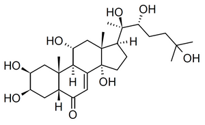 Turkesterone: T-Boosting Powerhouse Or All Hype?