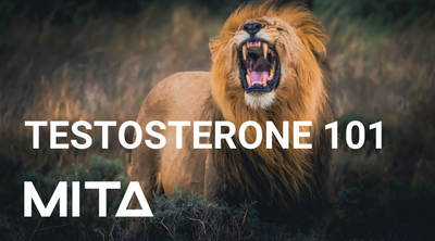 The Science of Testosterone: What Every Man Needs to Know