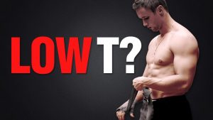 Are Artificial Estrogens Crushing Your Testosterone Levels?