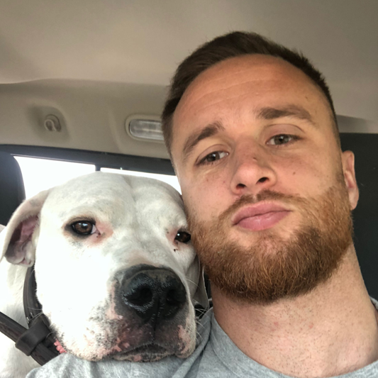 Goodbye, My Teddy, You've Taught Me a Lot