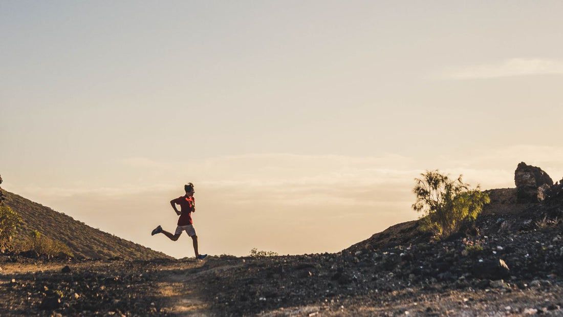 How to Live Longer: A Checklist