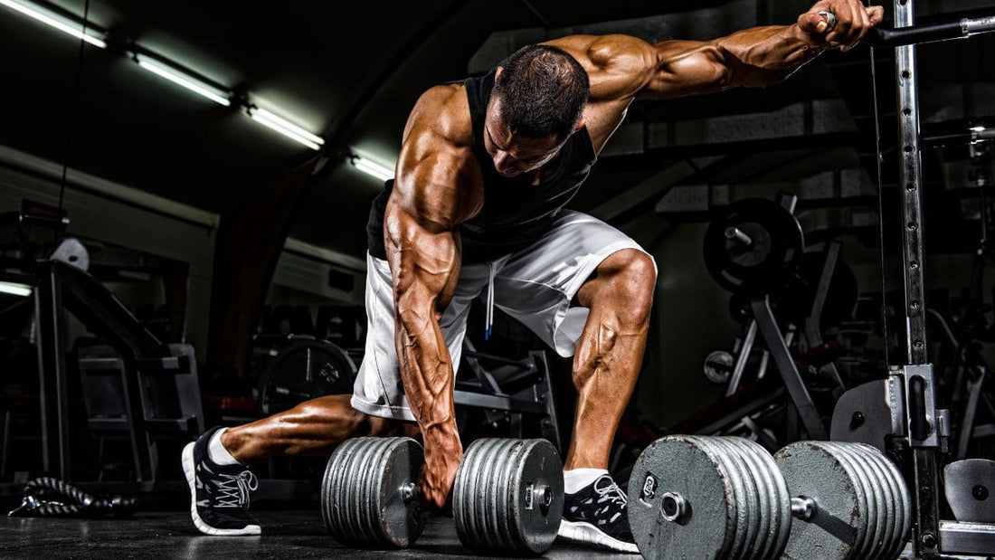 Step-by-Step Guide to Gain Muscle and Lose Fat At the Same Time