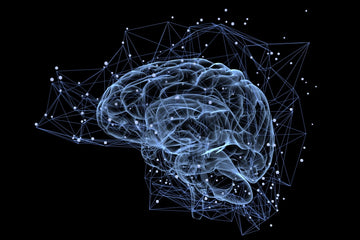 3 Chemicals Stunting Brain Performance 