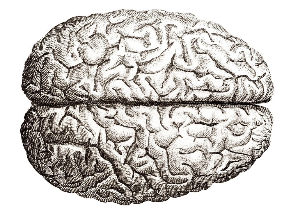 Choline — The Breakthrough Brain And Libido Booster?