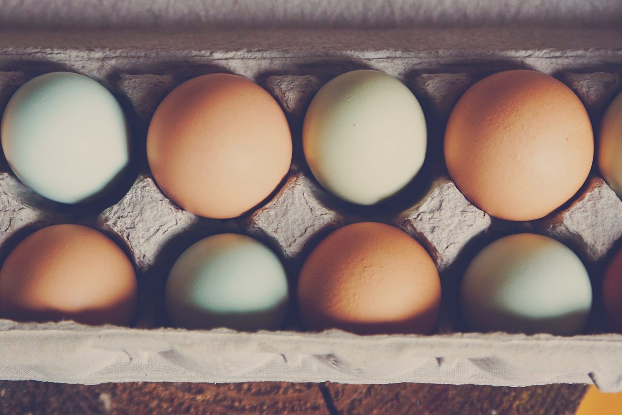 Why You Should Eat 5 Eggs Every Morning