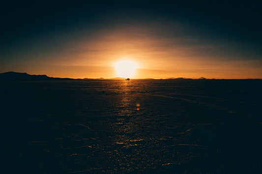 Can Vitamin D Improve Brain Function?