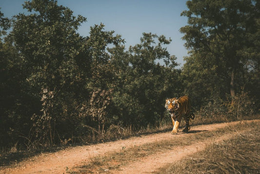 6 Ways To Boost Libido