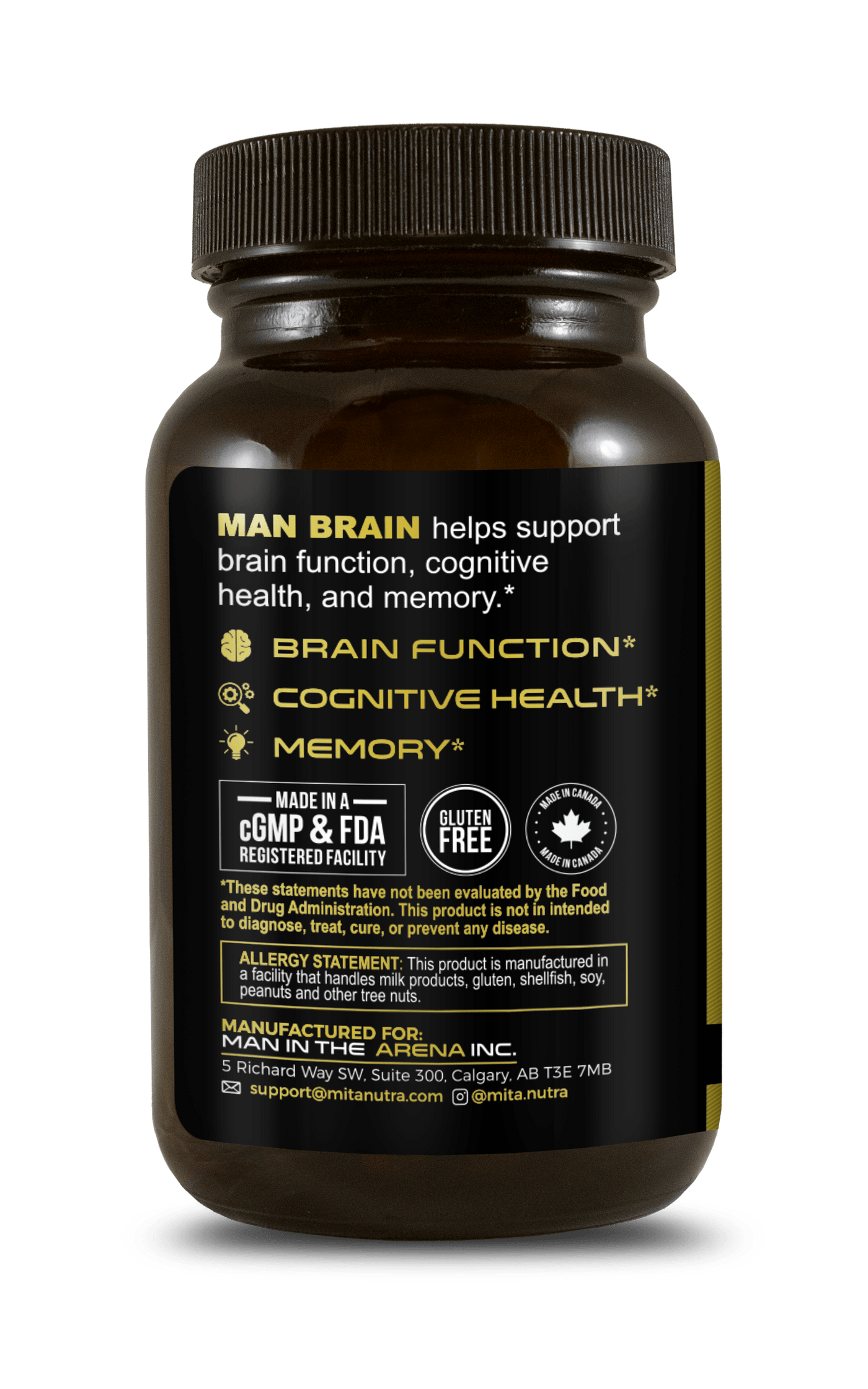 Brain Stack